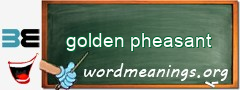 WordMeaning blackboard for golden pheasant